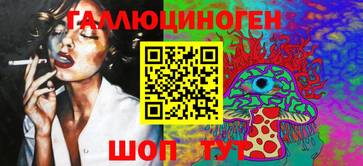 Галлюциногенные грибы Psilocybe Шадринск