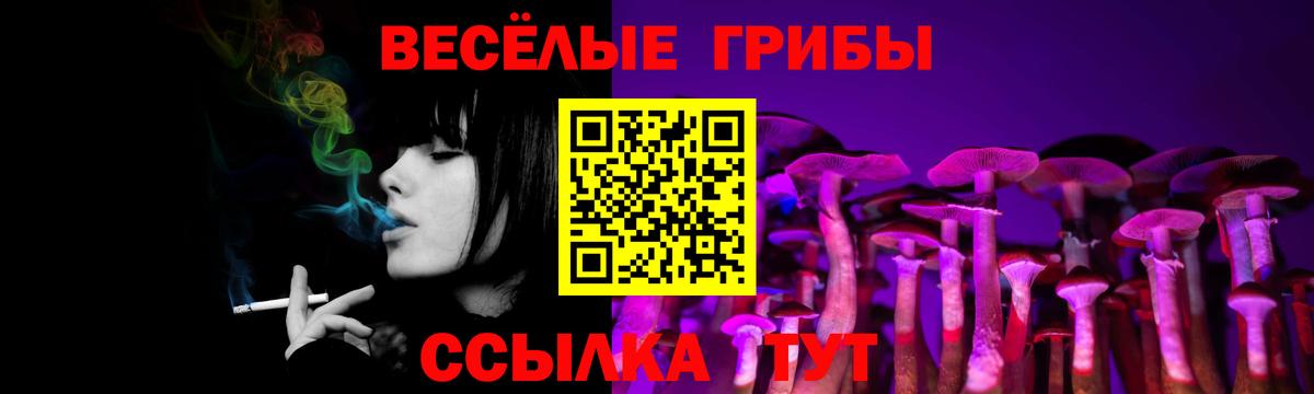 Шадринск  Псилоцибиновые грибы ЛСД  Псилоцибиновые грибы мицелий  Вход с VPN 